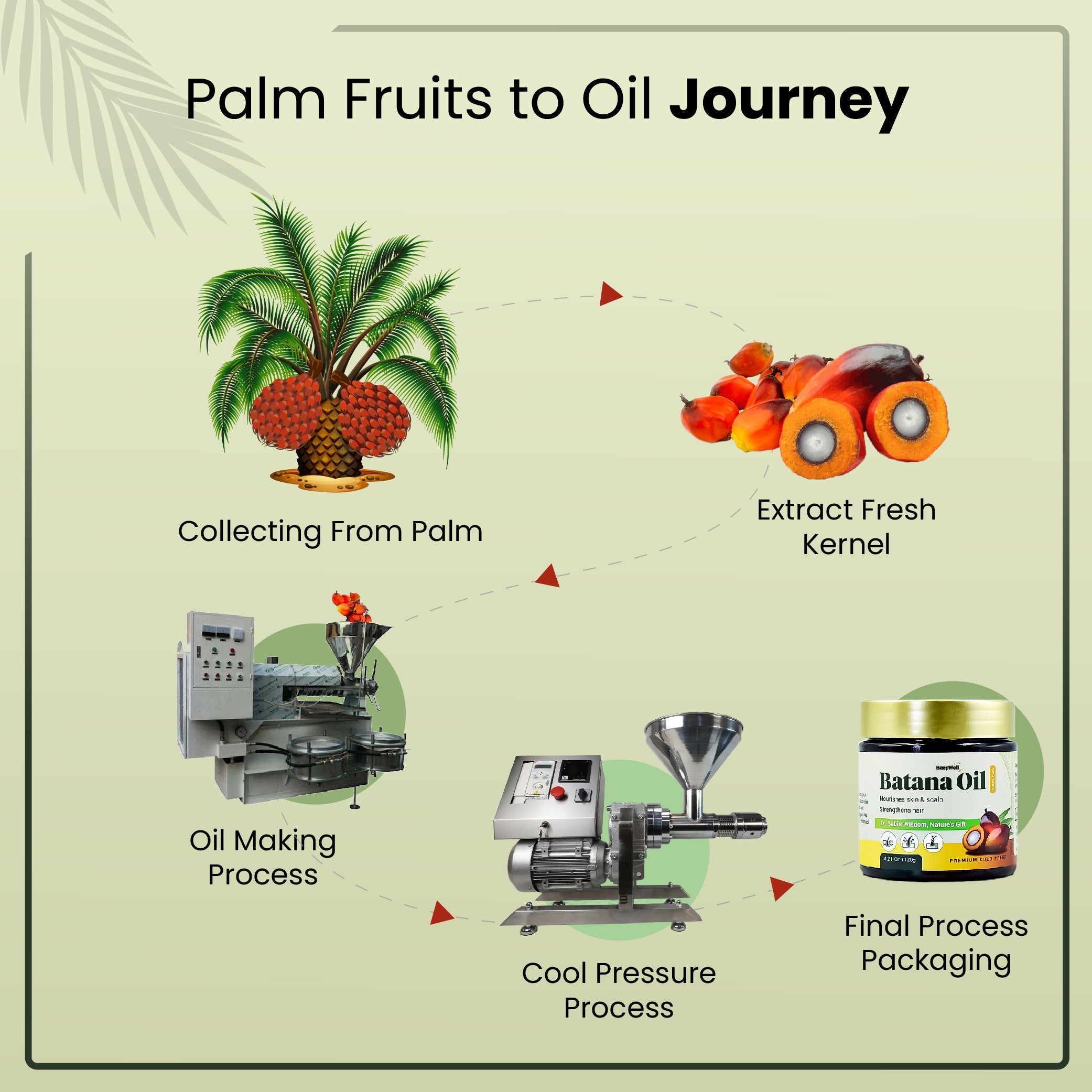 BeepWell Cold-Pressed Batana Oil – 100% Natural, Raw & Unrefined – Pack of 2